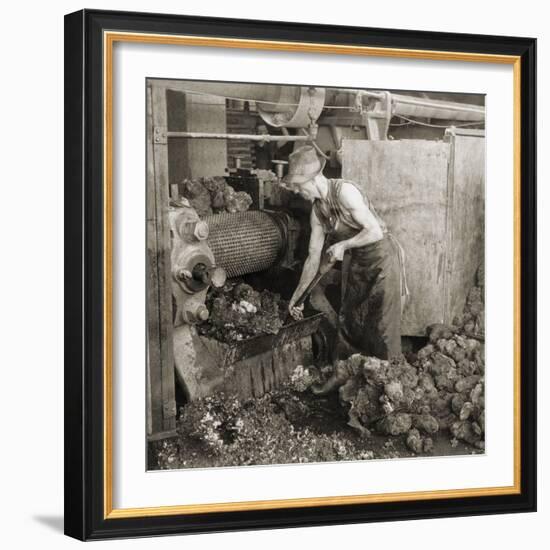 Crude Rubber from Brazil in a Rubber Cracking Machine, Goodyear Tire Factory, Akron, Ohio, 1928-null-Framed Photo