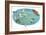 Cruise Map of the South Pacific-null-Framed Art Print