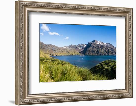 Cruise ship anchoring in the bay of Godthul, South Georgia, Antarctica, Polar Regions-Michael Runkel-Framed Photographic Print