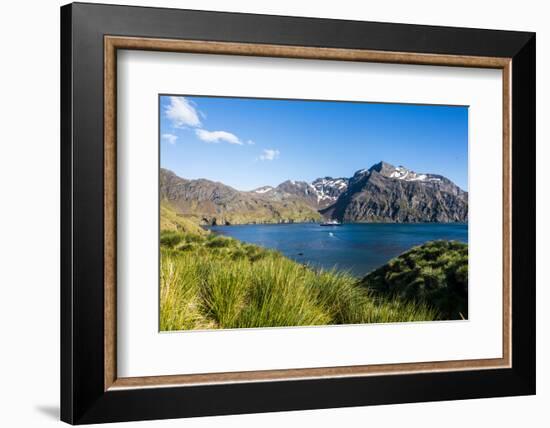 Cruise ship anchoring in the bay of Godthul, South Georgia, Antarctica, Polar Regions-Michael Runkel-Framed Photographic Print