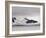 Cruise Ship, Livingston Island, South Shetland Islands, Antarctica, Polar Regions-Sergio Pitamitz-Framed Photographic Print