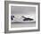 Cruise Ship, Livingston Island, South Shetland Islands, Antarctica, Polar Regions-Sergio Pitamitz-Framed Photographic Print