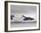 Cruise Ship, Livingston Island, South Shetland Islands, Antarctica, Polar Regions-Sergio Pitamitz-Framed Photographic Print