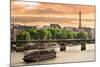 Cruise Ship On The Seine River In Paris, France-rglinsky-Mounted Art Print