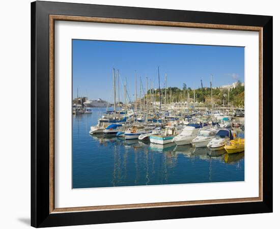 Cruise Ships and Yachts in the Harbour at Funchal, Madeira, Portugal, Atlantic, Europe-Neale Clarke-Framed Photographic Print