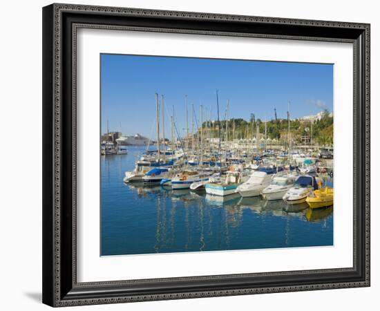 Cruise Ships and Yachts in the Harbour at Funchal, Madeira, Portugal, Atlantic, Europe-Neale Clarke-Framed Photographic Print