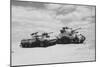 Cruiser and Sherman?, 1943 (B/W Photo)-null-Mounted Giclee Print