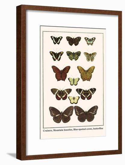 Cruisers, Mountain Beauties, Blue-Spotted Crows, Butterflies-Albertus Seba-Framed Art Print