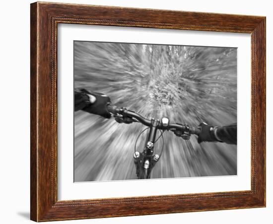 Cruising down a buff section of singletrack trail, West Glacier, Montana, USA-Chuck Haney-Framed Photographic Print