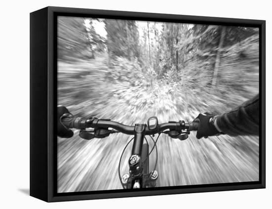 Cruising down a buff section of singletrack trail, West Glacier, Montana, USA-Chuck Haney-Framed Premier Image Canvas