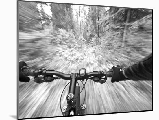 Cruising down a buff section of singletrack trail, West Glacier, Montana, USA-Chuck Haney-Mounted Photographic Print