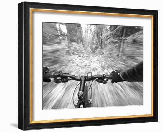 Cruising down a buff section of singletrack trail, West Glacier, Montana, USA-Chuck Haney-Framed Photographic Print