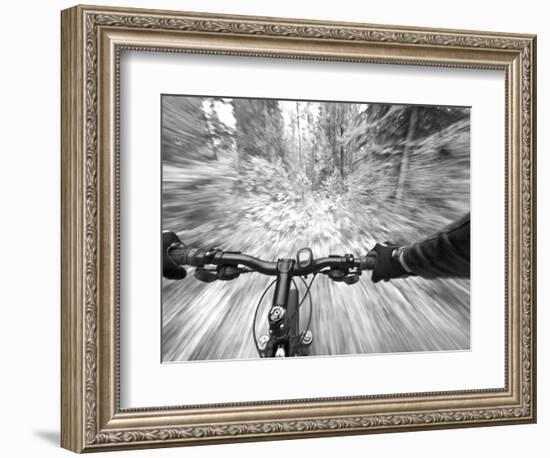 Cruising down a buff section of singletrack trail, West Glacier, Montana, USA-Chuck Haney-Framed Photographic Print