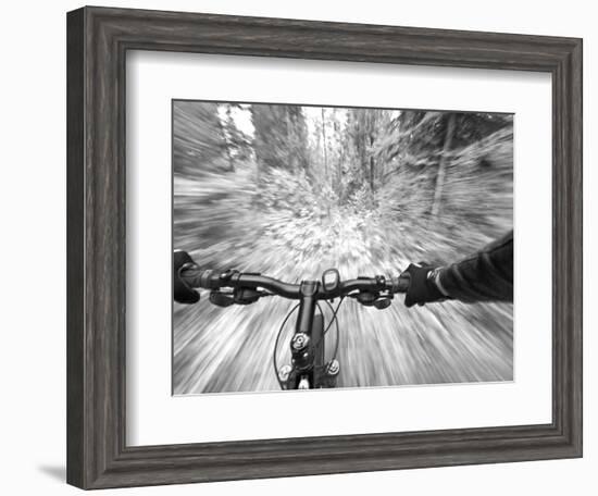 Cruising down a buff section of singletrack trail, West Glacier, Montana, USA-Chuck Haney-Framed Photographic Print