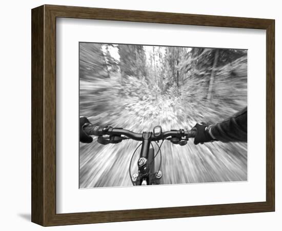 Cruising down a buff section of singletrack trail, West Glacier, Montana, USA-Chuck Haney-Framed Photographic Print