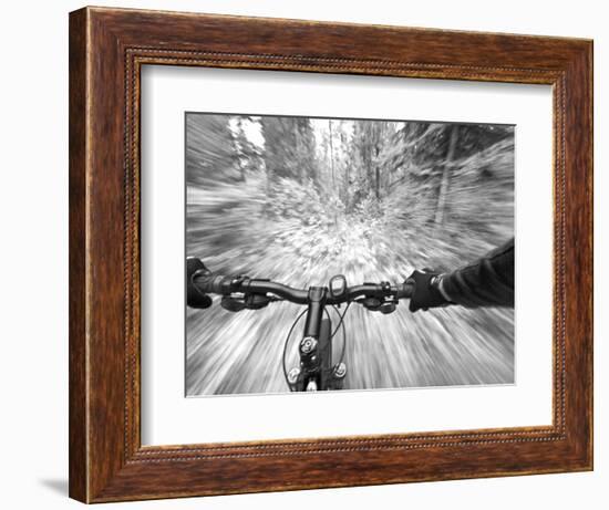 Cruising down a buff section of singletrack trail, West Glacier, Montana, USA-Chuck Haney-Framed Photographic Print