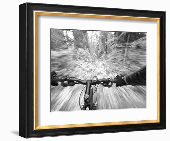 Cruising down a buff section of singletrack trail, West Glacier, Montana, USA-Chuck Haney-Framed Photographic Print