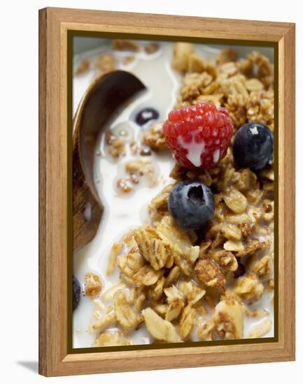 Crunchy Muesli with Berries and Milk-null-Framed Premier Image Canvas