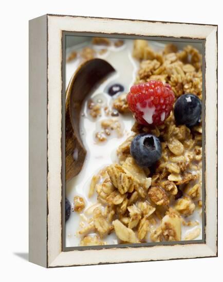 Crunchy Muesli with Berries and Milk-null-Framed Premier Image Canvas