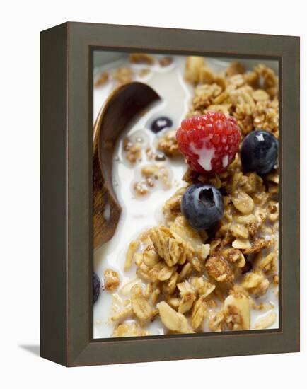 Crunchy Muesli with Berries and Milk-null-Framed Premier Image Canvas