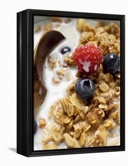 Crunchy Muesli with Berries and Milk-null-Framed Premier Image Canvas