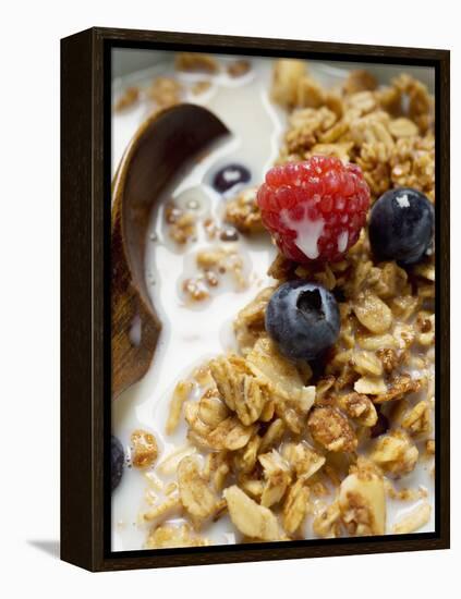 Crunchy Muesli with Berries and Milk-null-Framed Premier Image Canvas