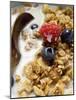 Crunchy Muesli with Berries and Milk-null-Mounted Photographic Print