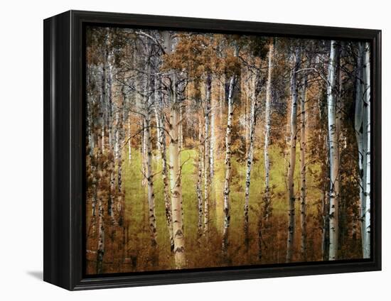 Crunchy-Ursula Abresch-Framed Premier Image Canvas