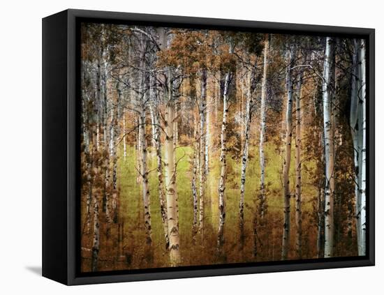 Crunchy-Ursula Abresch-Framed Premier Image Canvas