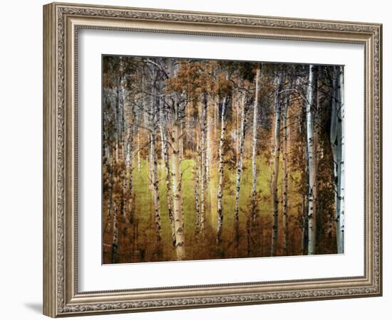 Crunchy-Ursula Abresch-Framed Photographic Print