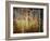 Crunchy-Ursula Abresch-Framed Photographic Print