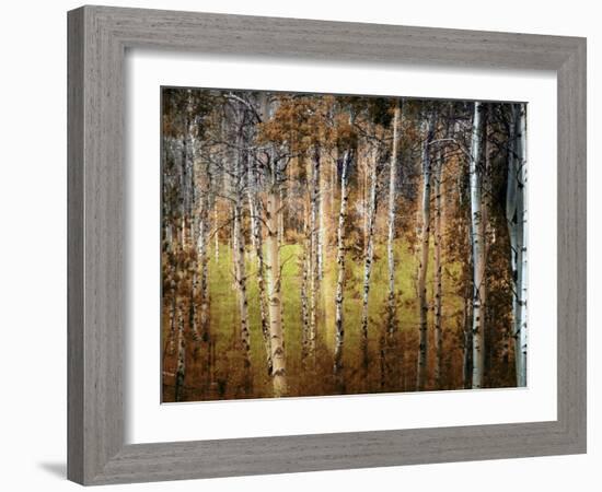 Crunchy-Ursula Abresch-Framed Photographic Print