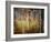 Crunchy-Ursula Abresch-Framed Photographic Print