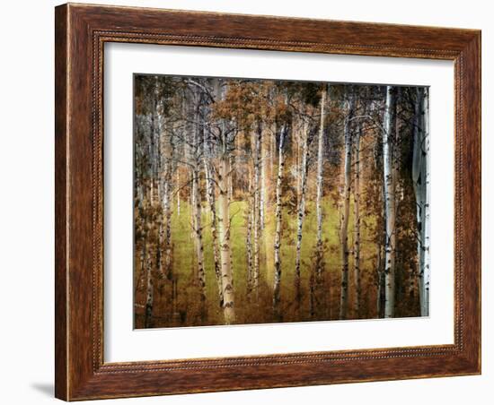 Crunchy-Ursula Abresch-Framed Photographic Print