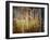 Crunchy-Ursula Abresch-Framed Photographic Print