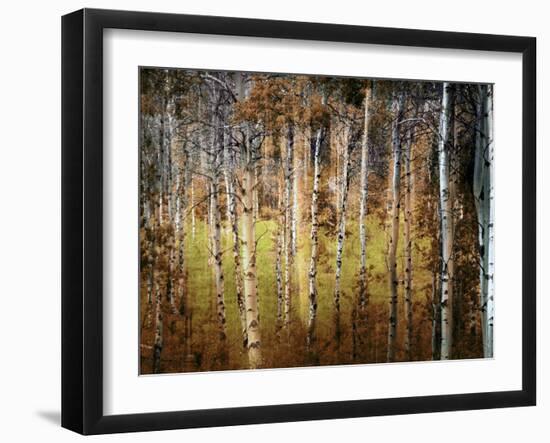 Crunchy-Ursula Abresch-Framed Photographic Print