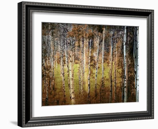 Crunchy-Ursula Abresch-Framed Photographic Print