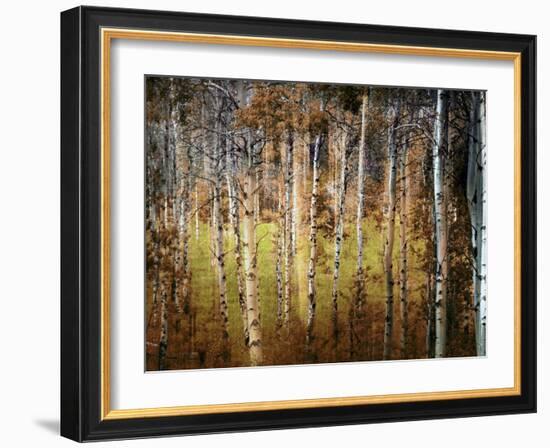 Crunchy-Ursula Abresch-Framed Photographic Print