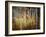 Crunchy-Ursula Abresch-Framed Photographic Print