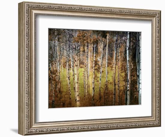 Crunchy-Ursula Abresch-Framed Photographic Print