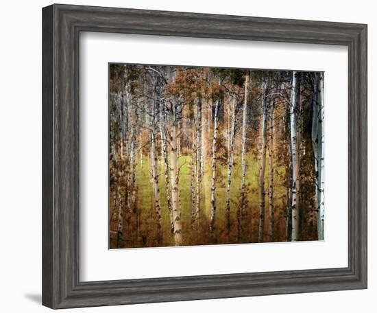 Crunchy-Ursula Abresch-Framed Photographic Print