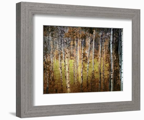 Crunchy-Ursula Abresch-Framed Photographic Print