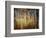 Crunchy-Ursula Abresch-Framed Photographic Print