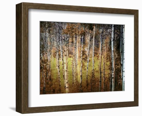 Crunchy-Ursula Abresch-Framed Photographic Print