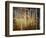 Crunchy-Ursula Abresch-Framed Photographic Print