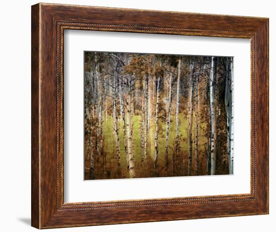 Crunchy-Ursula Abresch-Framed Photographic Print