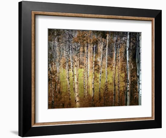 Crunchy-Ursula Abresch-Framed Photographic Print