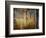 Crunchy-Ursula Abresch-Framed Photographic Print