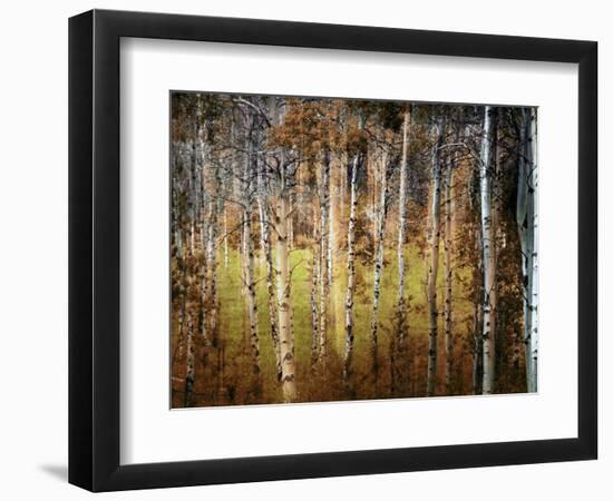 Crunchy-Ursula Abresch-Framed Photographic Print