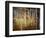 Crunchy-Ursula Abresch-Framed Photographic Print